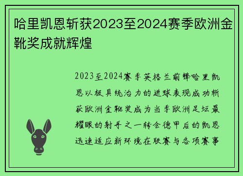 哈里凯恩斩获2023至2024赛季欧洲金靴奖成就辉煌 哈里凯恩斩获2023至2024赛季欧洲金靴奖成就辉煌