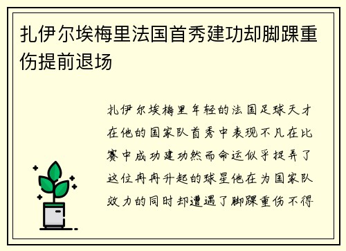 扎伊尔埃梅里法国首秀建功却脚踝重伤提前退场 扎伊尔埃梅里法国首秀建功却脚踝重伤提前退场